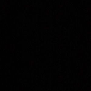 Meet your Posher, Will